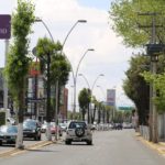 Foto arbolado (2)