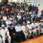 Medicina Tradicional Indígena