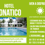 Banner-ISSEMYM-3-360×240-px