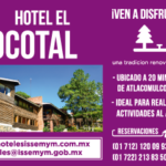 Banner-ISSEMYM-4-360×240-px