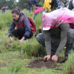 EDOMEX_Meta reforestación 2017 (2)