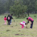 EDOMEX_Meta reforestación 2017 (4)