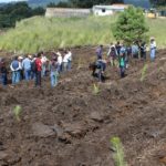 EDOMEX_Meta reforestación 2017 (6)