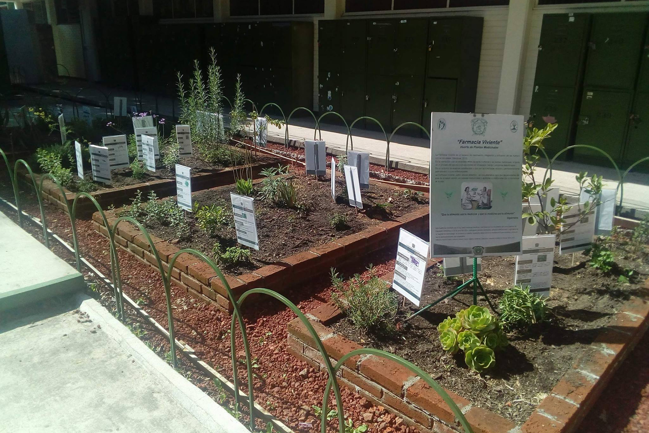 REALIZA LA FACULTAD DE ODONTOLOGÍA REFORESTACIÓN EN EL SIERRA MORELOS