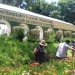 20170806_141450_resized