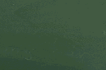Banner_1000x100