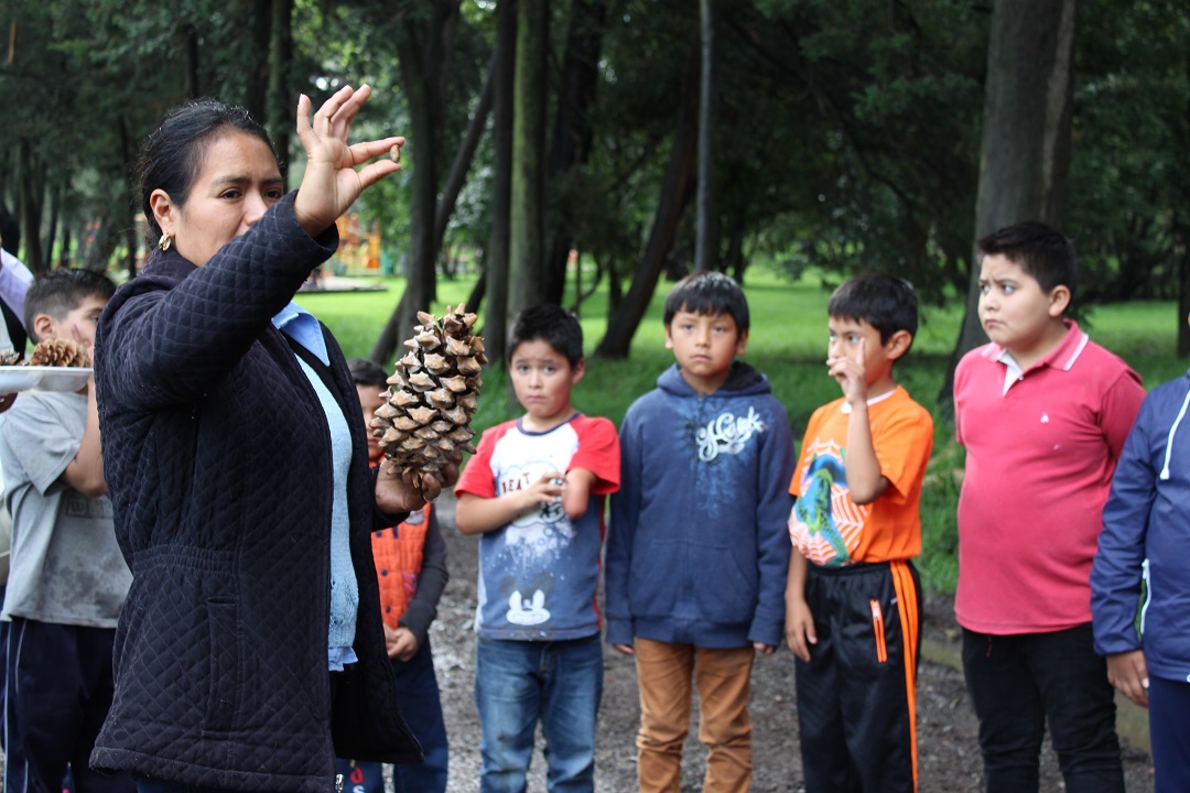 CONAFOR: OFRECE 464 ACTIVIDADES LA SEMANA NACIONAL DE DIVULGACIÓN DE LA CULTURA FORESTAL