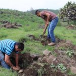 EDOMEX_Restauración (4)