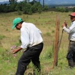 EDOMEX_Restauración (8)