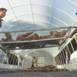 WhatsApp Image 2017-11-22 at 10.44.34 AM (1)