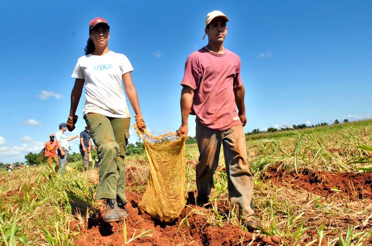 WhatsApp Image 2018-01-22 at 12.13.02 PM