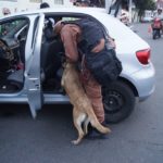 WhatsApp Image 2018-01-27 at 12.57.46 PM