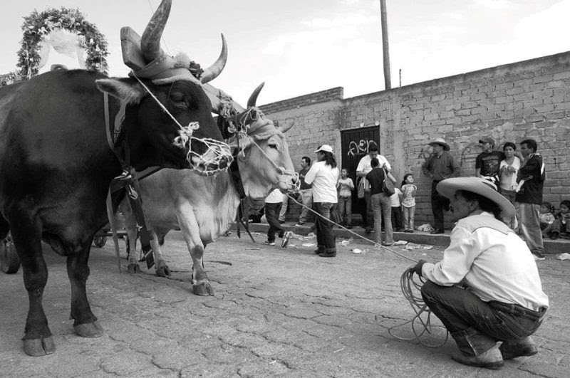 AVANZAN PREPARATIVOS PARA EL TRADICIONAL  PASEO DE LA AGRICULTURA METEPEC 2018