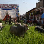 METEPEC, Paseo de San Isidro Labrador