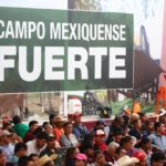 WhatsApp Image 2018-08-22 at 3.07.35 PM