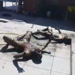 WhatsApp Image 2018-08-29 at 9.28.08 PM