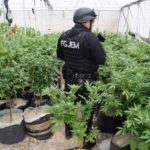 WhatsApp Image 2018-08-30 at 3.13.10 PM (1)