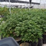 WhatsApp Image 2018-08-30 at 3.13.10 PM