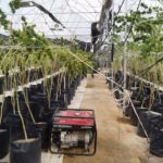 WhatsApp Image 2018-08-30 at 3.13.10 PM (2)