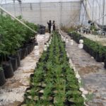 WhatsApp Image 2018-08-30 at 3.13.11 PM (1)