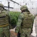 WhatsApp Image 2018-08-30 at 3.13.12 PM (1)