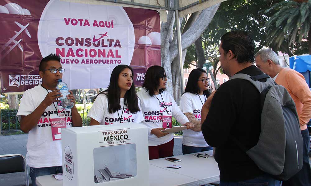 Maullidos Urbanos:  Participación democrática a modo