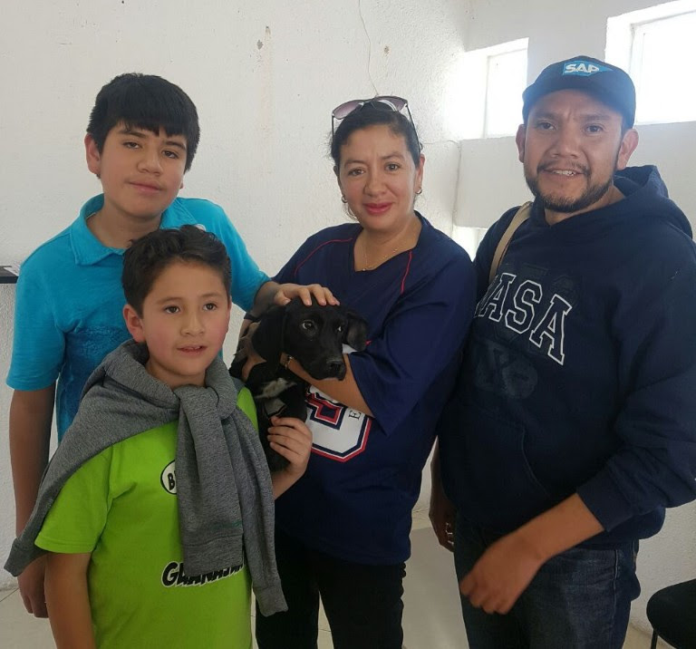 ESTERILIZAR A TU MASCOTA RECOMIENDA METEPEC, PARA EVITAR POBLACIÓN CANINA EN SITUACIÓN DE CALLE