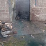 WhatsApp Image 2018-11-27 at 9.30.56 AM