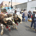 Metepec, México- Actividad Cultural 3