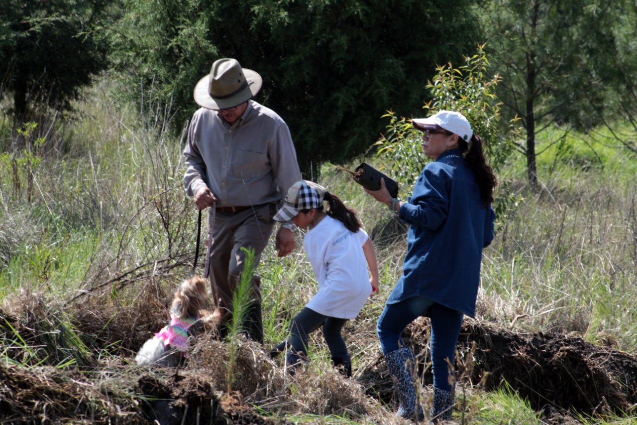 LA CONVIVENCIA FAMILIAR DEBE BASARSE EN EL RESPETO A LA DIGNIDAD Y LOS DERECHOS HUMANOS DE LAS PERSONAS: CODHEM