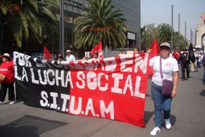 Maullidos 25 abril 19