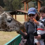 WhatsApp Image 2019-04-15 at 1.46.03 PM