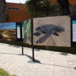 WhatsApp Image 2019-04-15 at 1.46.04 PM (1)