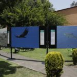 WhatsApp Image 2019-04-15 at 1.46.04 PM