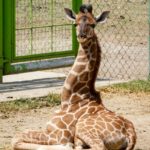 WhatsApp Image 2019-04-15 at 1.46.04 PM (2)