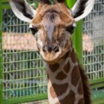 WhatsApp Image 2019-04-15 at 1.46.04 PM (3)