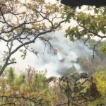 WhatsApp Image 2019-04-29 at 6.46.53 PM