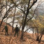 WhatsApp Image 2019-04-29 at 6.46.54 PM (1)