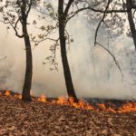 WhatsApp Image 2019-04-29 at 6.46.54 PM