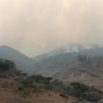 WhatsApp Image 2019-04-29 at 6.46.55 PM