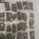 WhatsApp Image 2019-07-27 at 12.08.27 PM