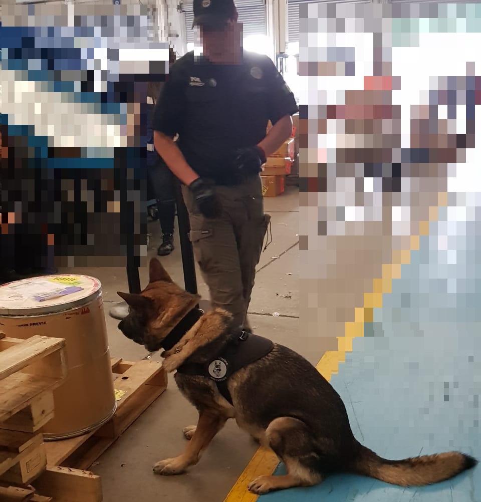 ASEGURA LA POLICÍA FEDERAL MINISTERIAL 53 KILOS DE PRECURSORES QUÍMICOS EN PAQUETERÍA DE EDOMÉX