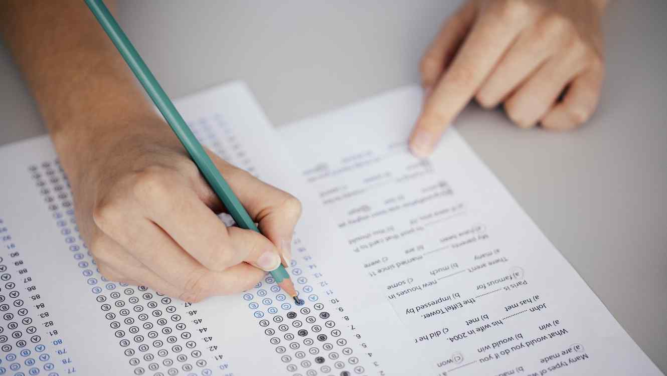 Maullidos Urbanos: ¿Cantidad, o calidad educativa?