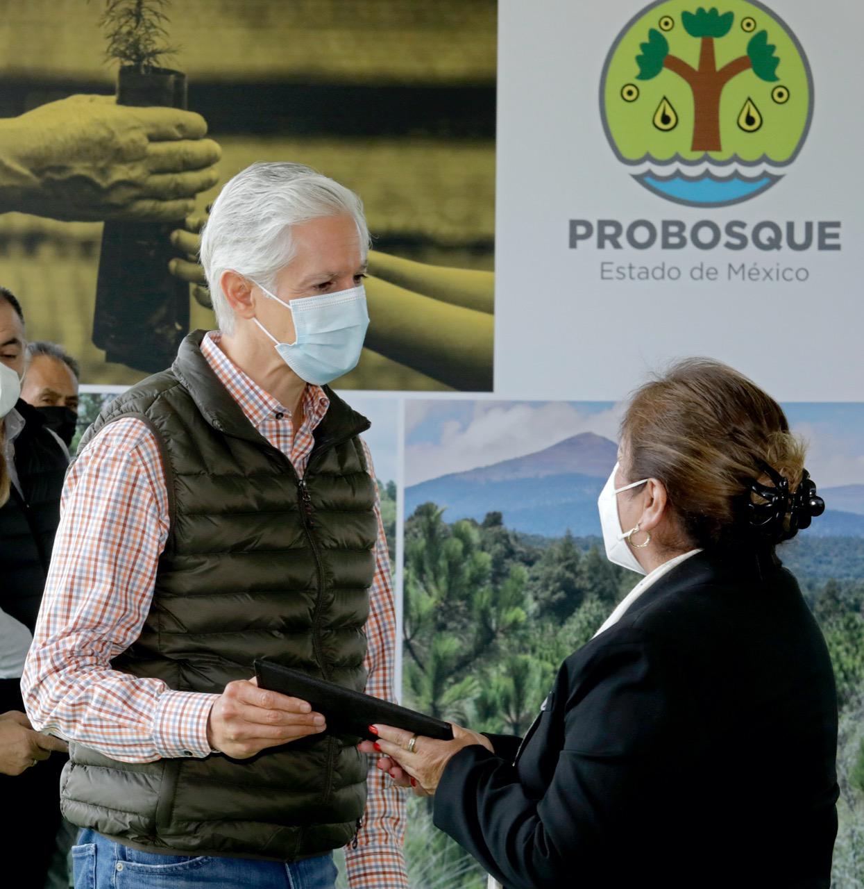 ENTREGA ALFREDO DEL MAZO RECURSOS A PLANTACIONES FORESTALES DE 11 MUNICIPIOS MEXIQUENSES