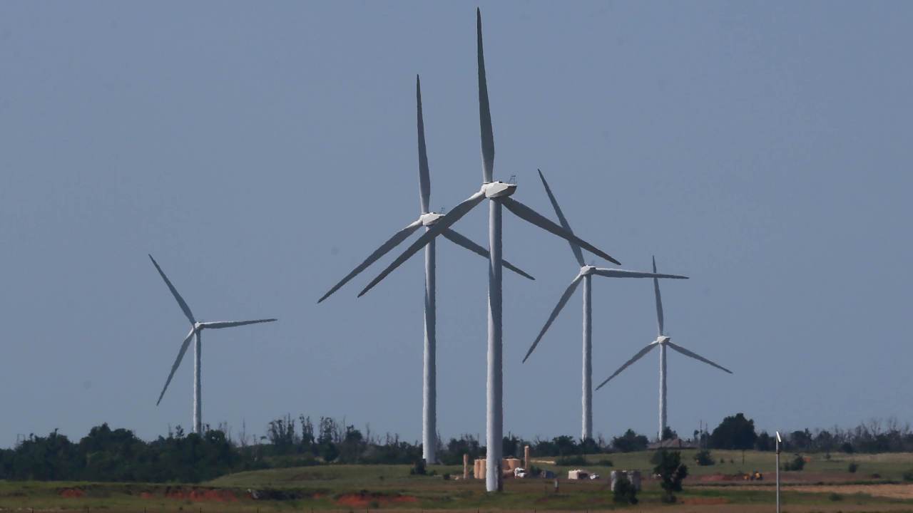 Alebrijes 3 marzo 21