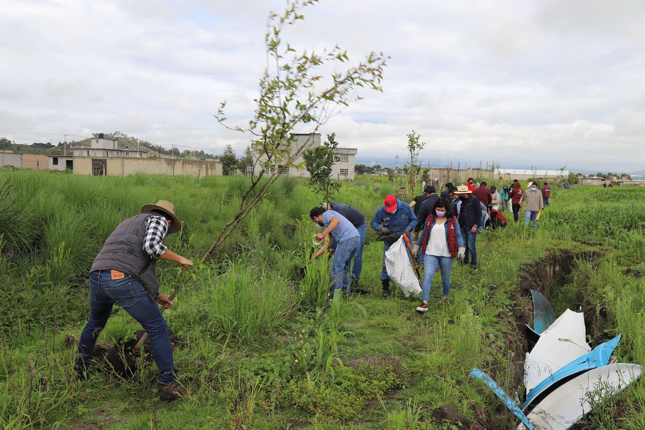 Reforestación 2021 en Metepec. 2021-07-02