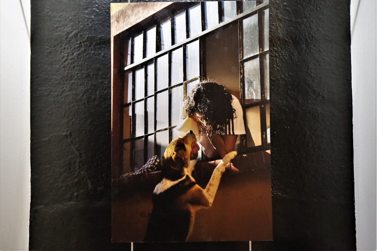 Expo Fotografía, últimos días... 2021-08-21 at 10.27.34 AM