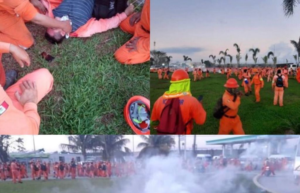 Maullidos 15 octubre 21