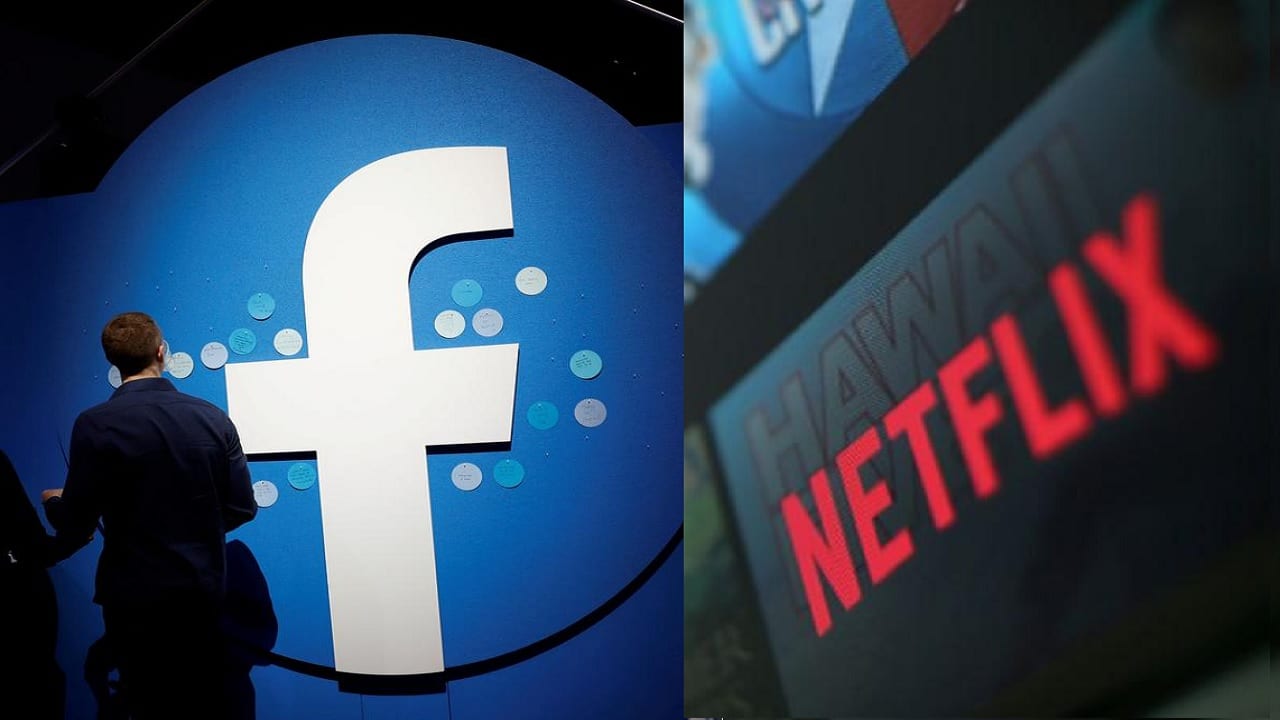 Maullidos Urbanos / Pérdidas multimillonarias en negocios digitales