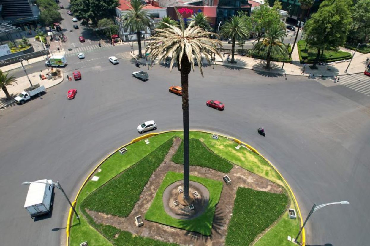 Maullidos 26 abril 22